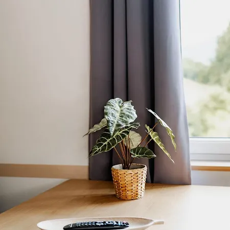 Seenzeit Apartment